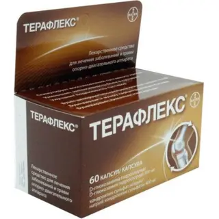 Терафлекс 500 мг №60, капс.